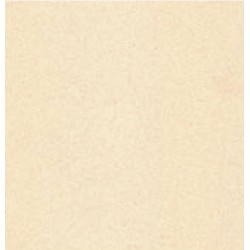 Cartulina Liso tamaño carta de 216 g