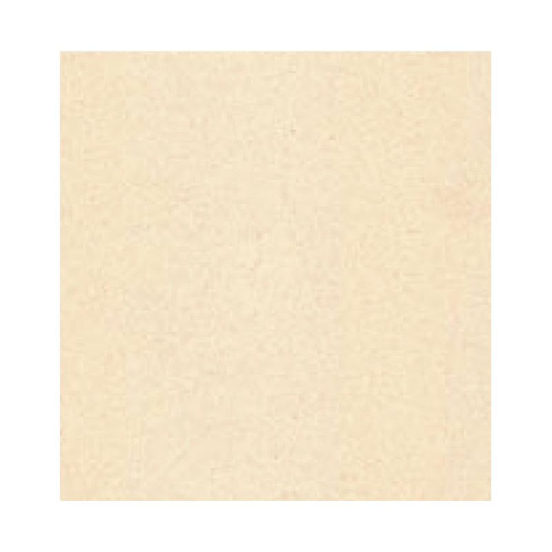 Cartulina Liso tamaño carta de 216 g