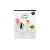 Clips decorativos Jelly Clips Candy Carnival Doodlebug | 6461